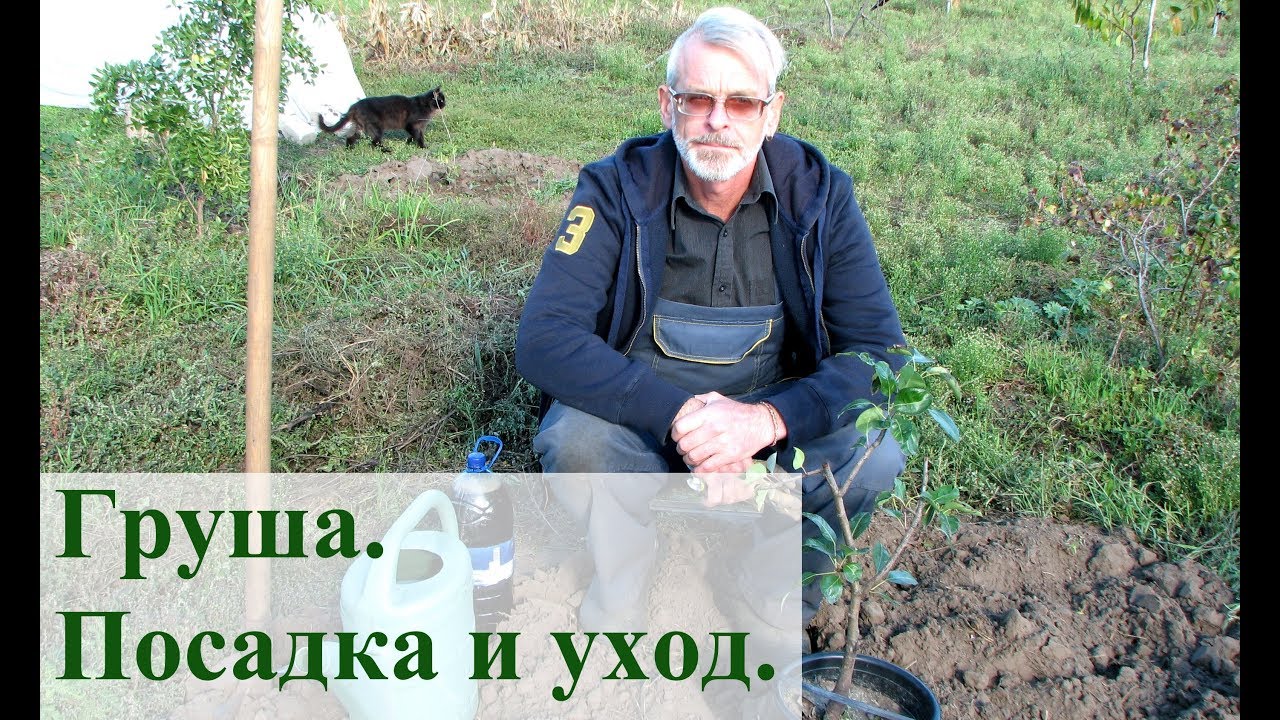 Нажмите, чтобы запустить видео