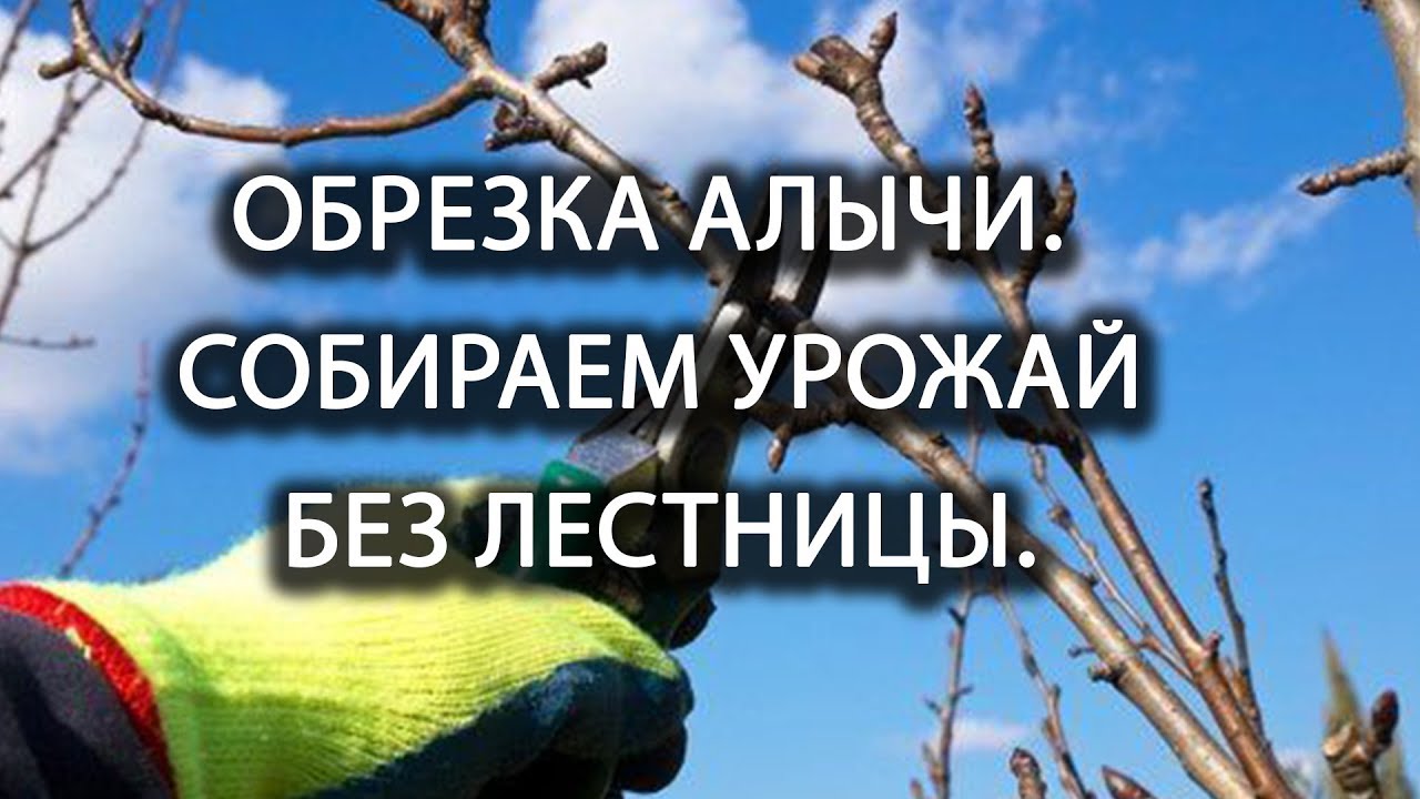 Нажмите, чтобы запустить видео