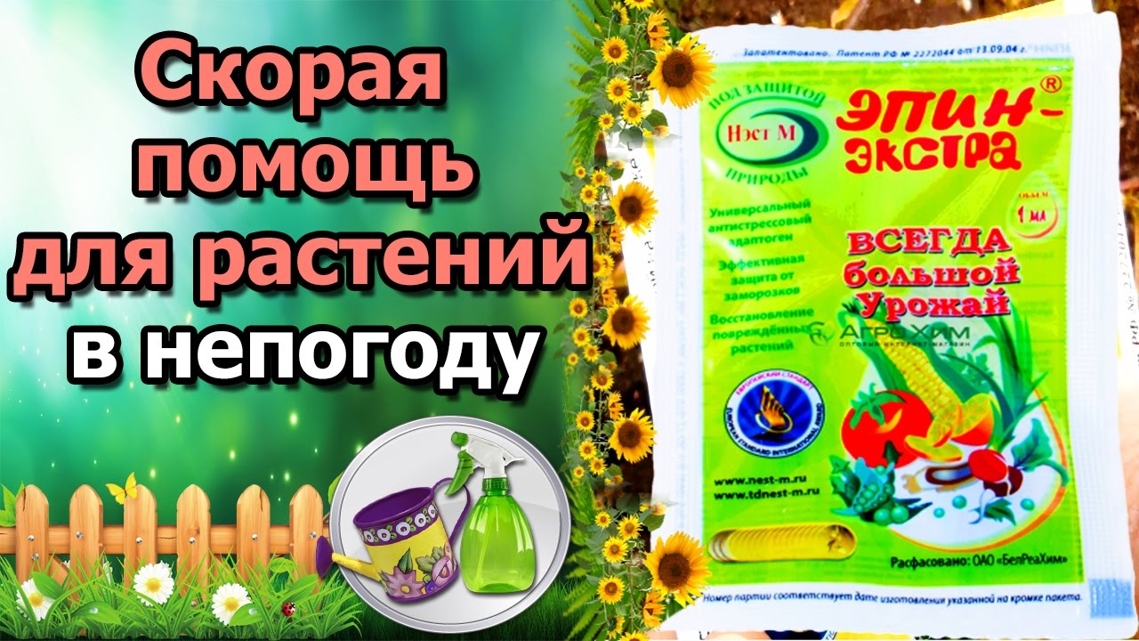 Нажмите, чтобы запустить видео