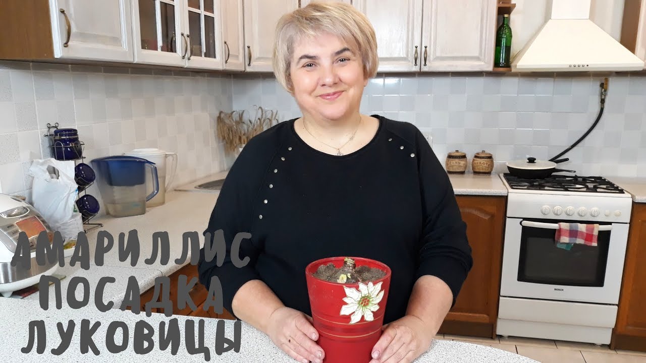 Нажмите, чтобы запустить видео