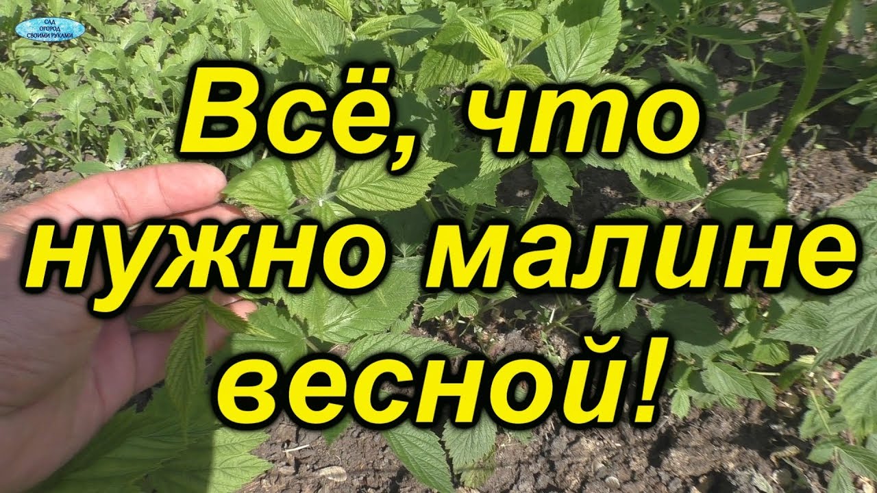 Нажмите, чтобы запустить видео