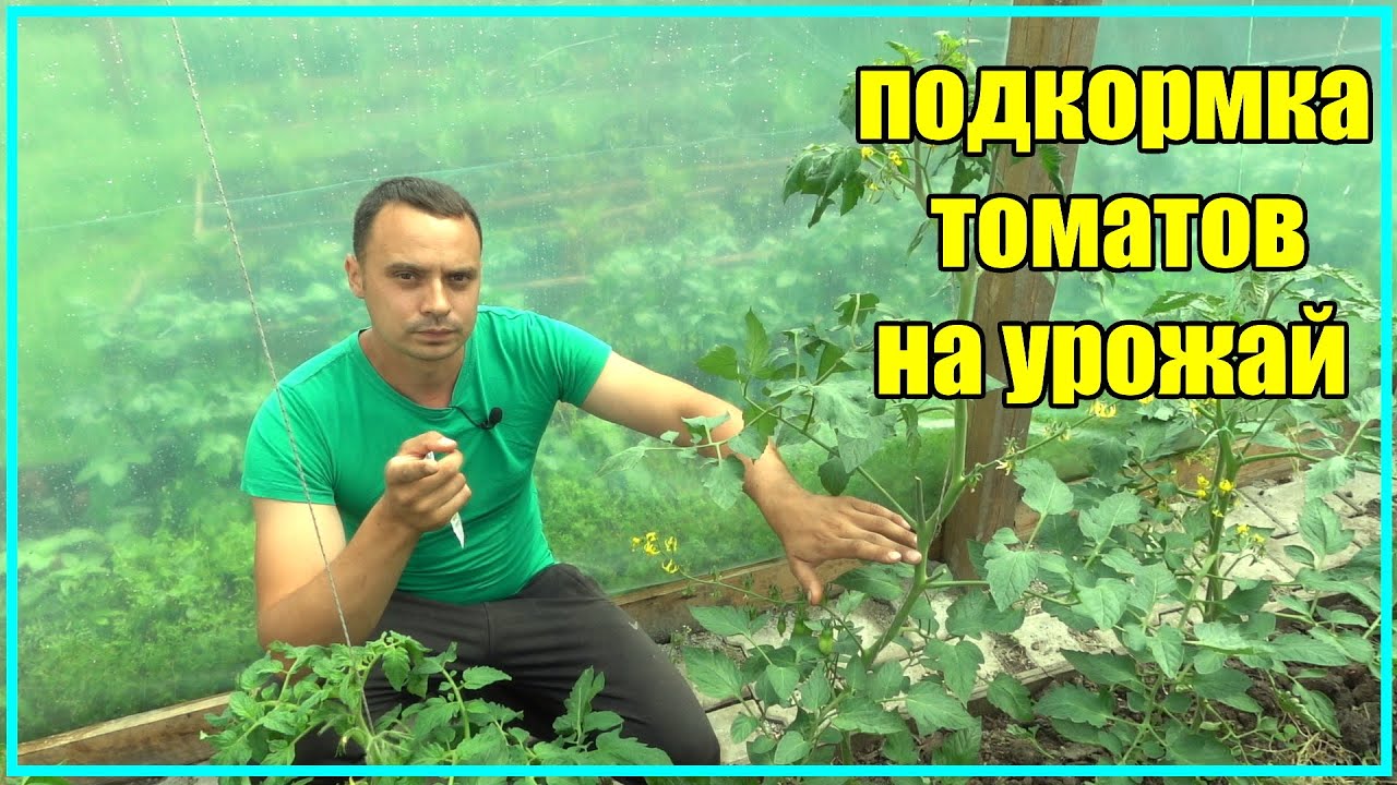 Нажмите, чтобы запустить видео