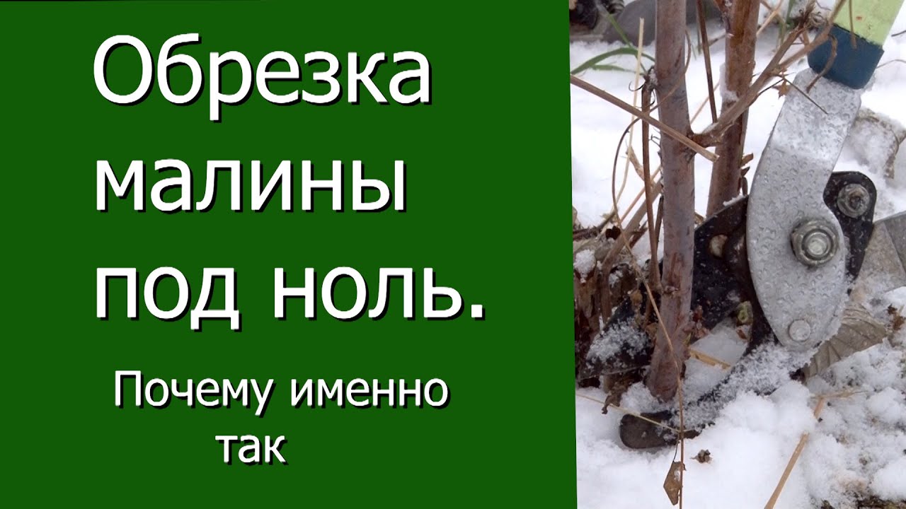 Нажмите, чтобы запустить видео