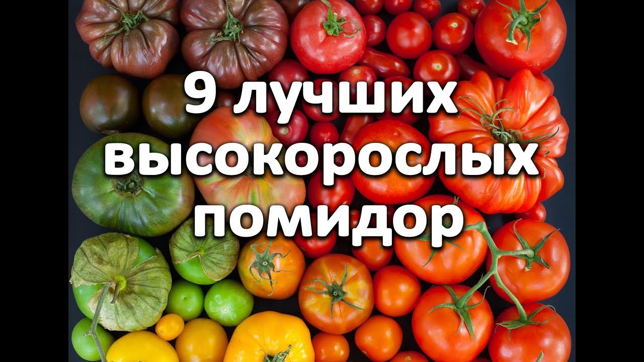 Нажмите, чтобы запустить видео