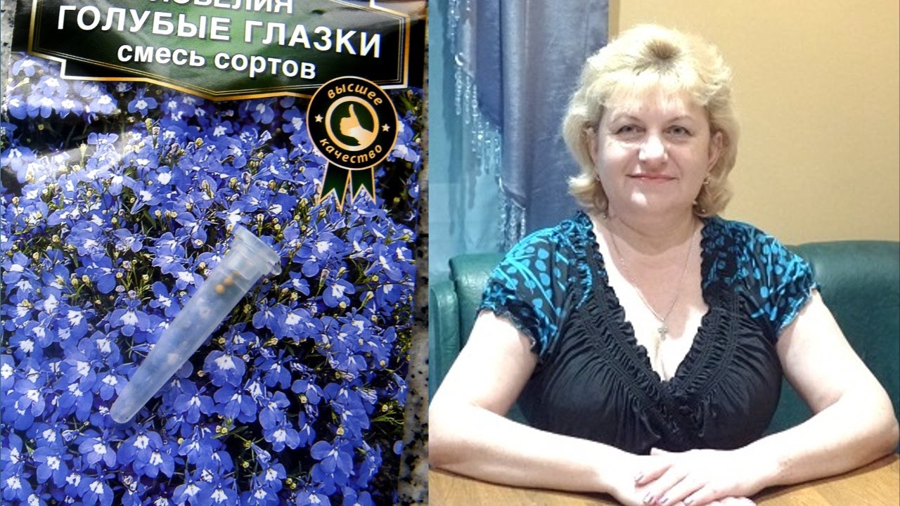 Нажмите, чтобы запустить видео