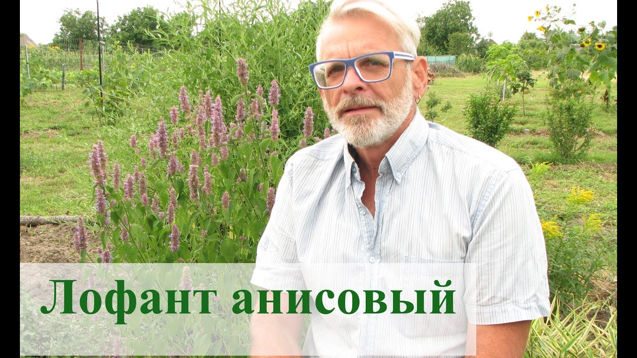 Нажмите, чтобы запустить видео