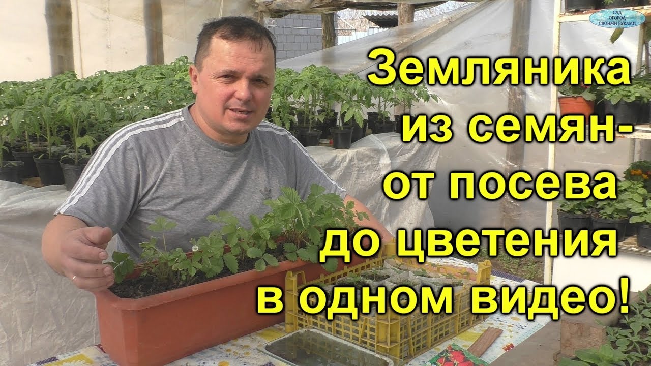 Нажмите, чтобы запустить видео