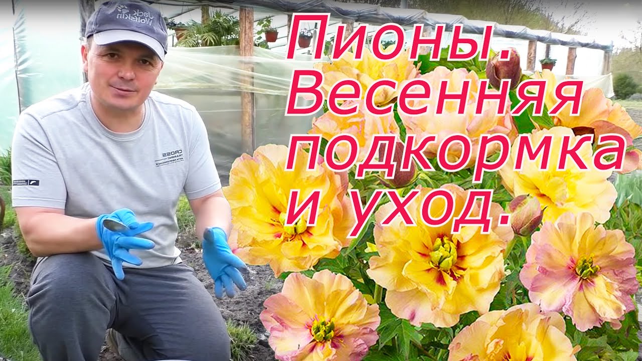 Нажмите, чтобы запустить видео