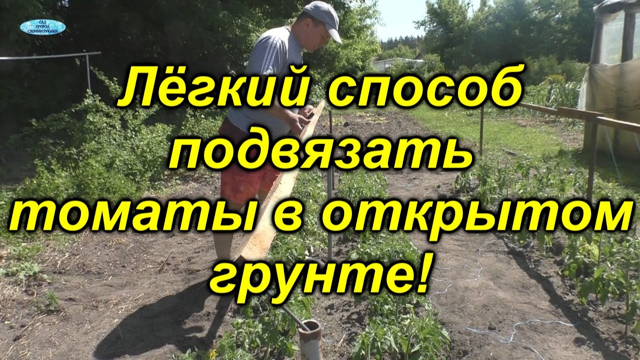 Нажмите, чтобы запустить видео
