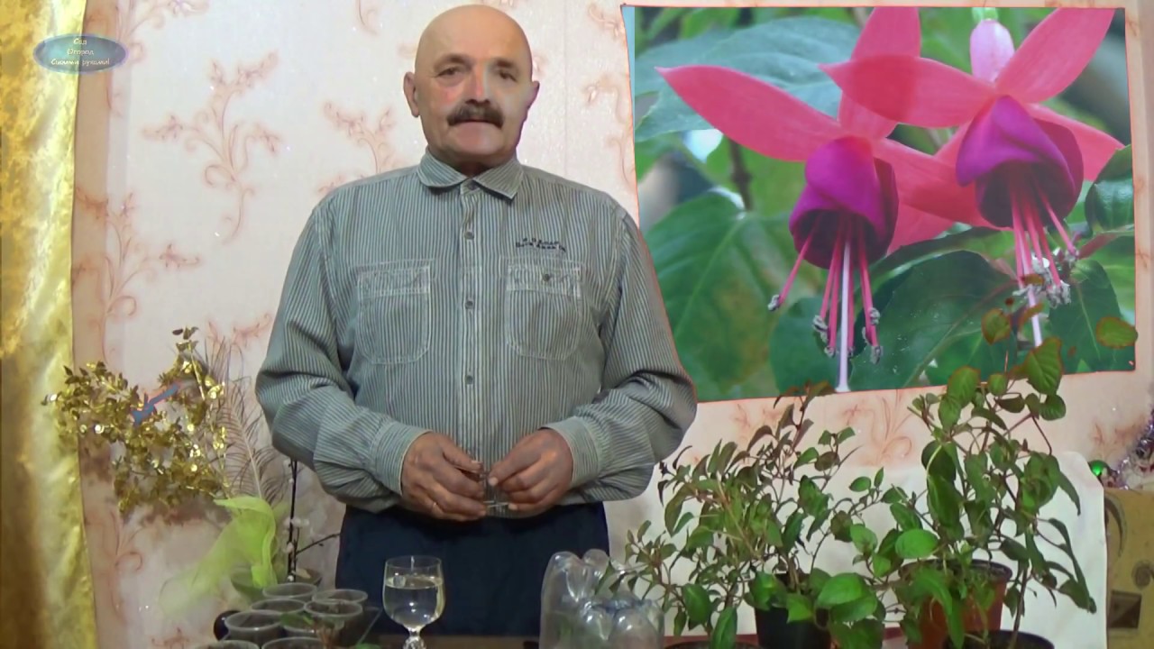 Нажмите, чтобы запустить видео