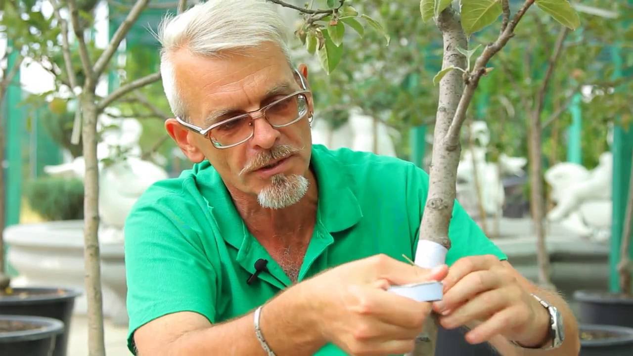 Нажмите, чтобы запустить видео