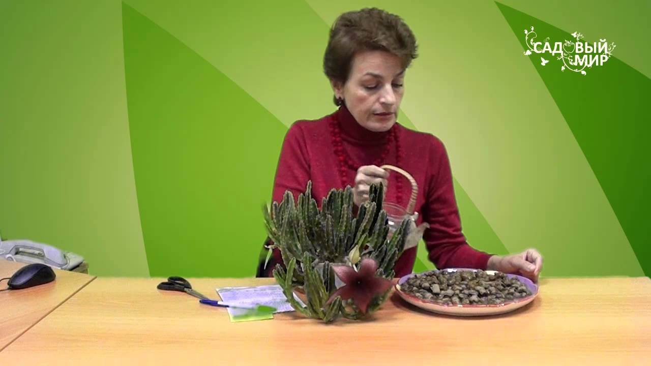 Нажмите, чтобы запустить видео