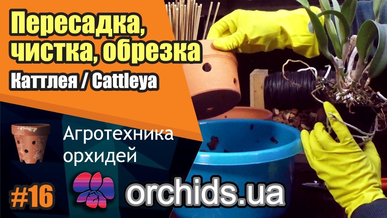 Нажмите, чтобы запустить видео