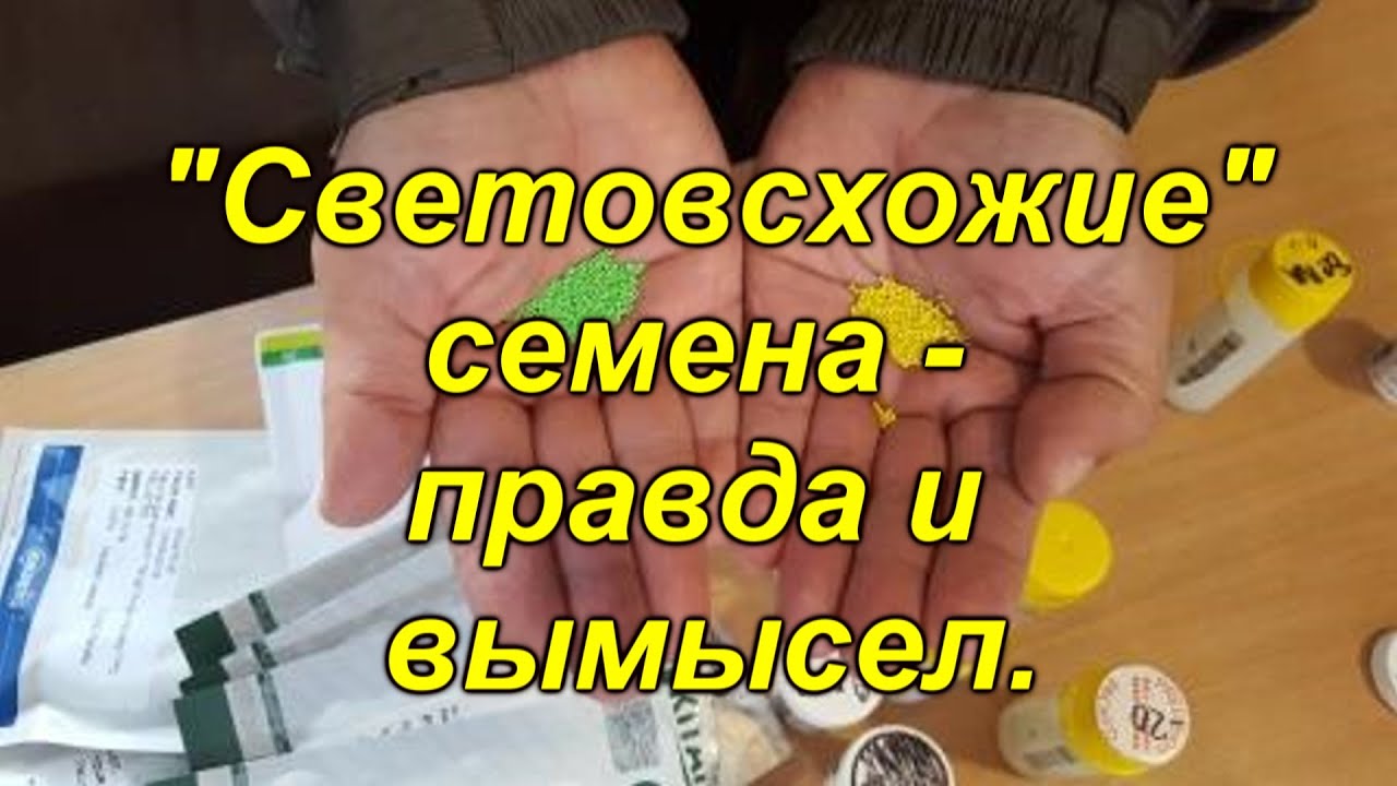 Нажмите, чтобы запустить видео