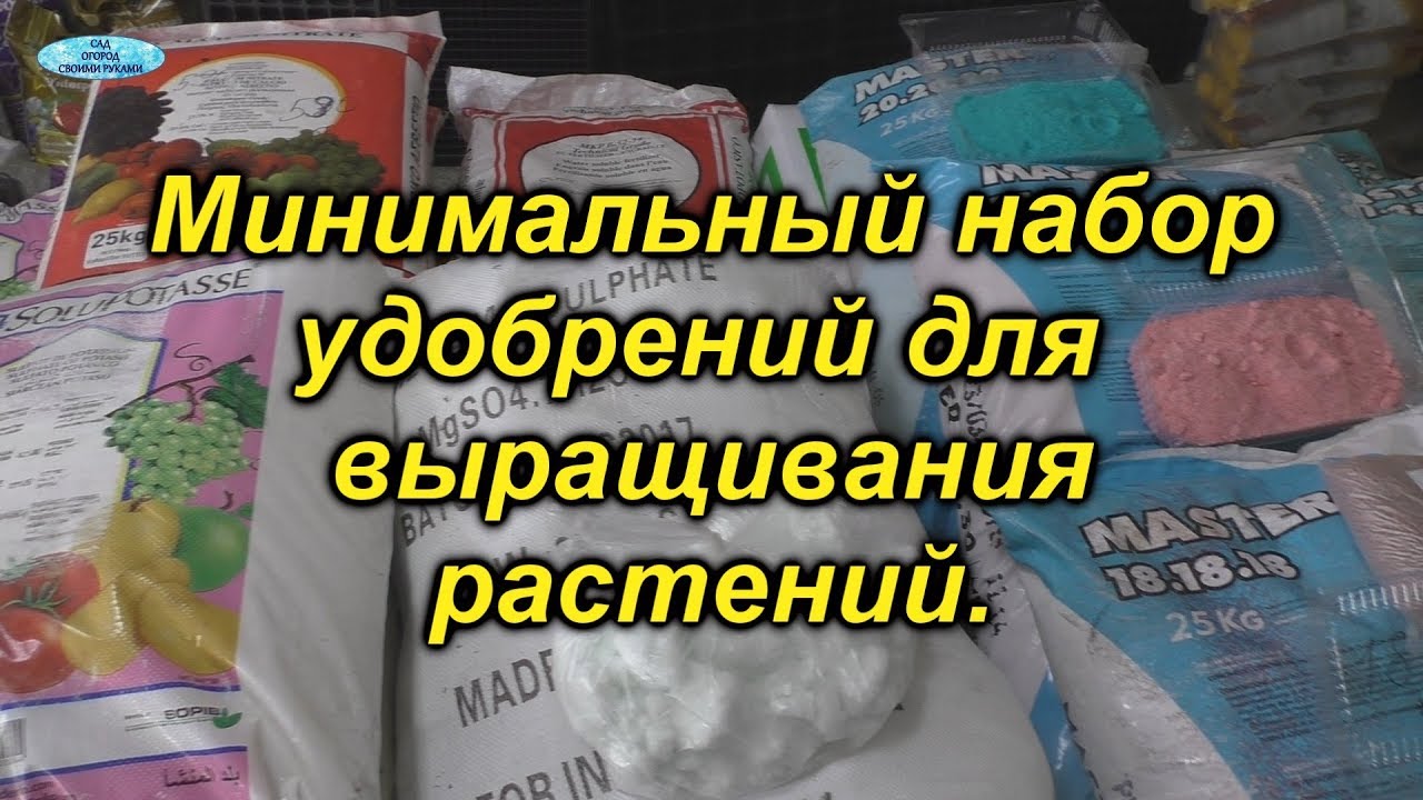 Нажмите, чтобы запустить видео