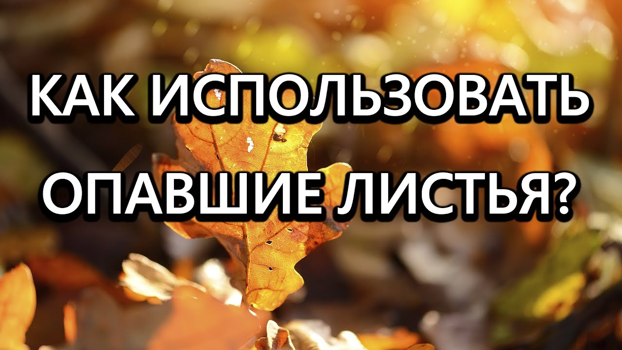 Нажмите, чтобы запустить видео