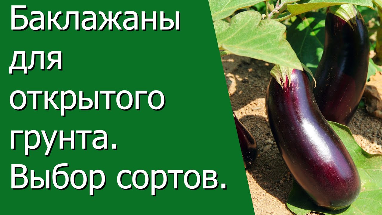 Нажмите, чтобы запустить видео