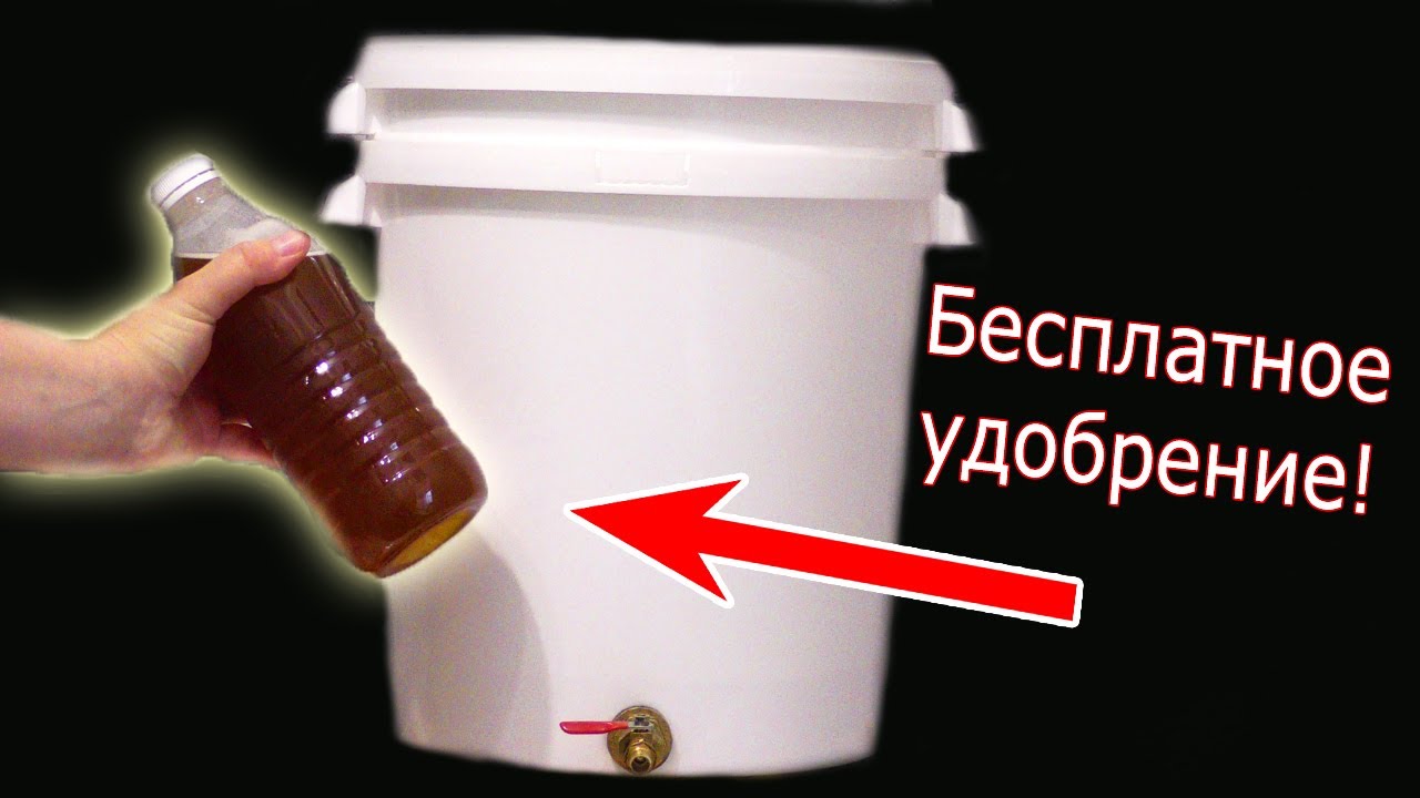 Нажмите, чтобы запустить видео