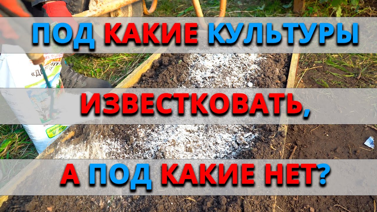 Нажмите, чтобы запустить видео
