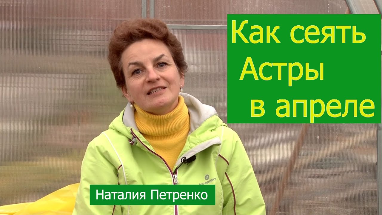 Нажмите, чтобы запустить видео