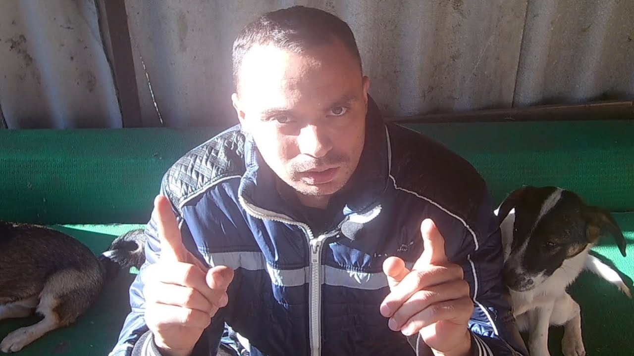 Нажмите, чтобы запустить видео