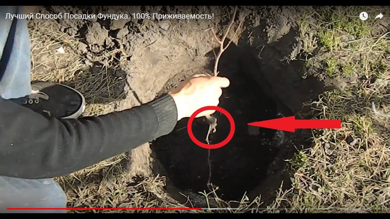 Нажмите, чтобы запустить видео