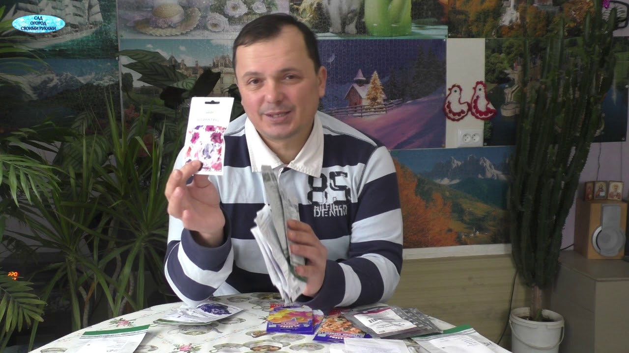 Нажмите, чтобы запустить видео