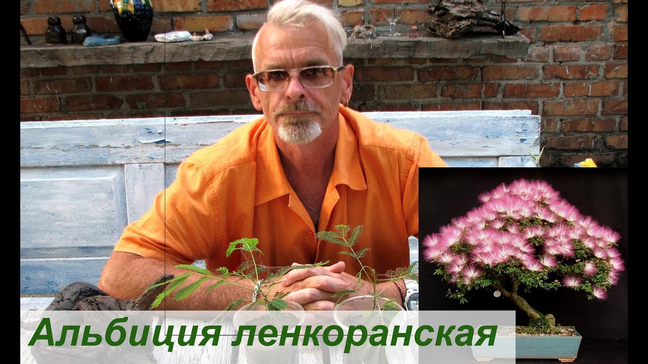 Нажмите, чтобы запустить видео