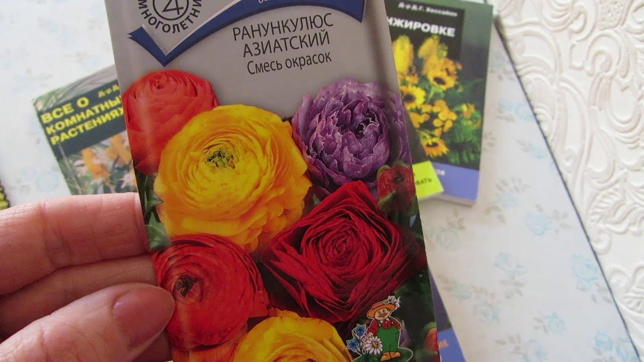 Нажмите, чтобы запустить видео