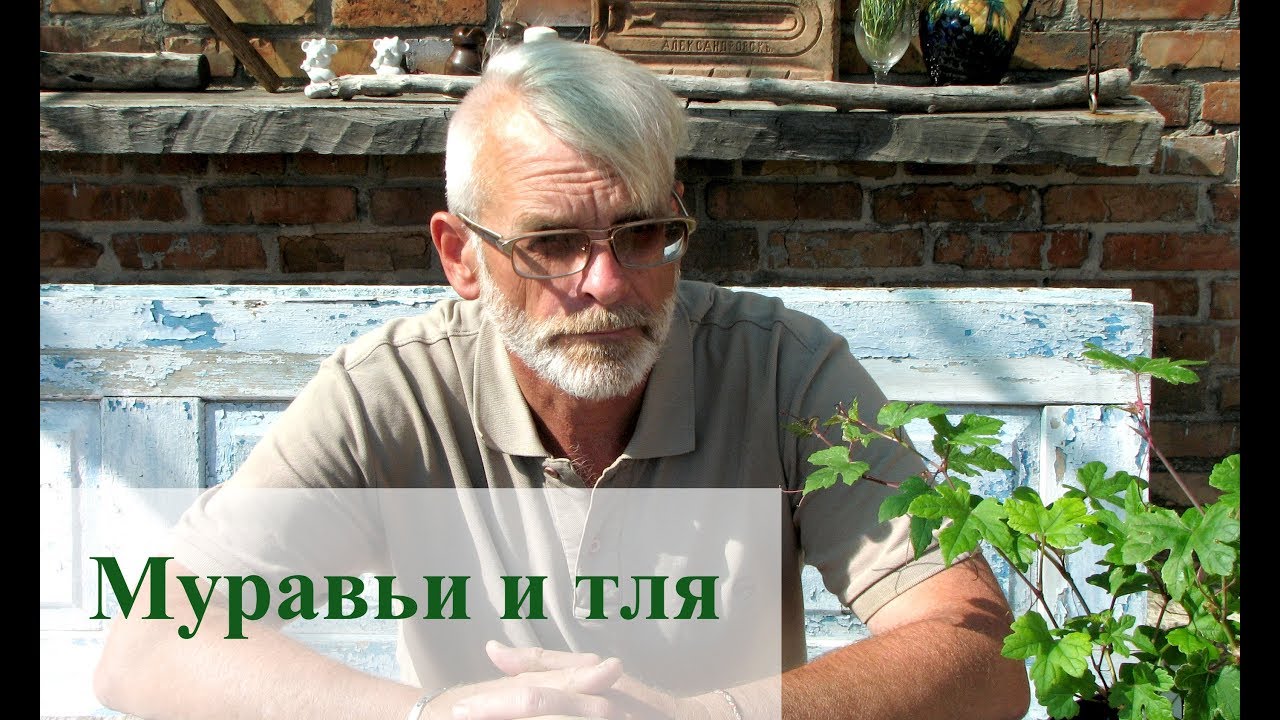 Нажмите, чтобы запустить видео