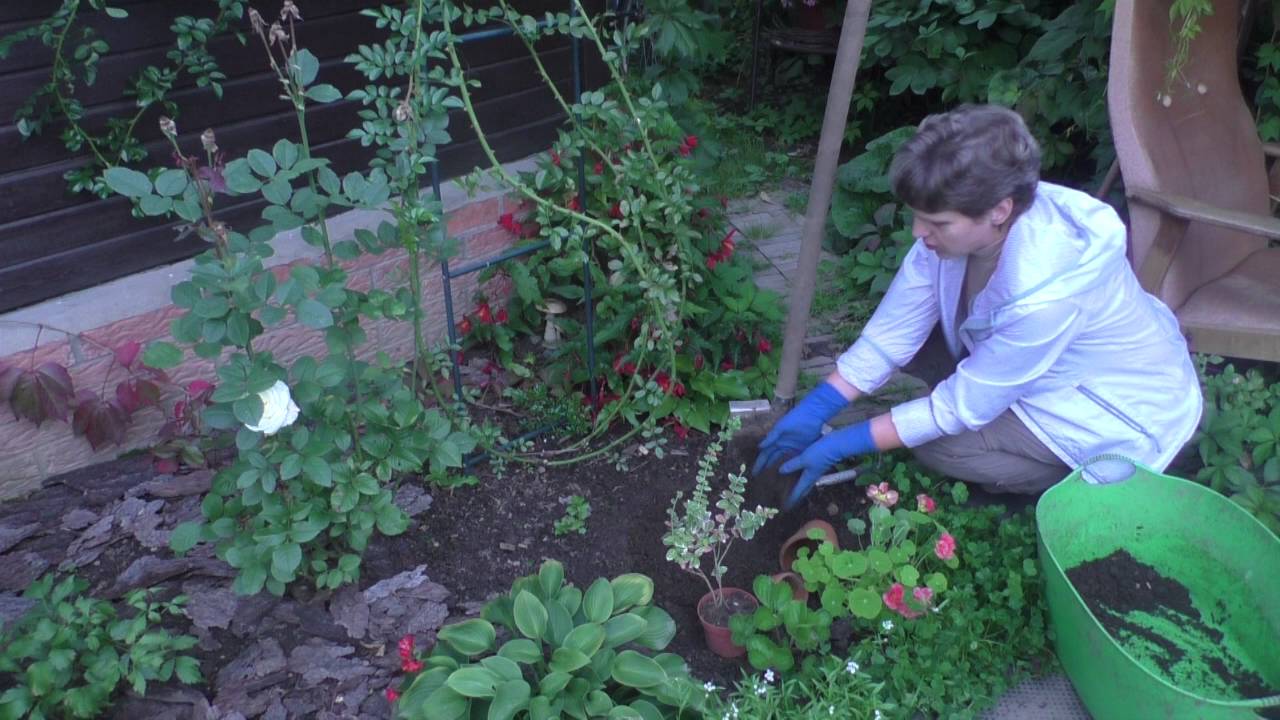 Нажмите, чтобы запустить видео