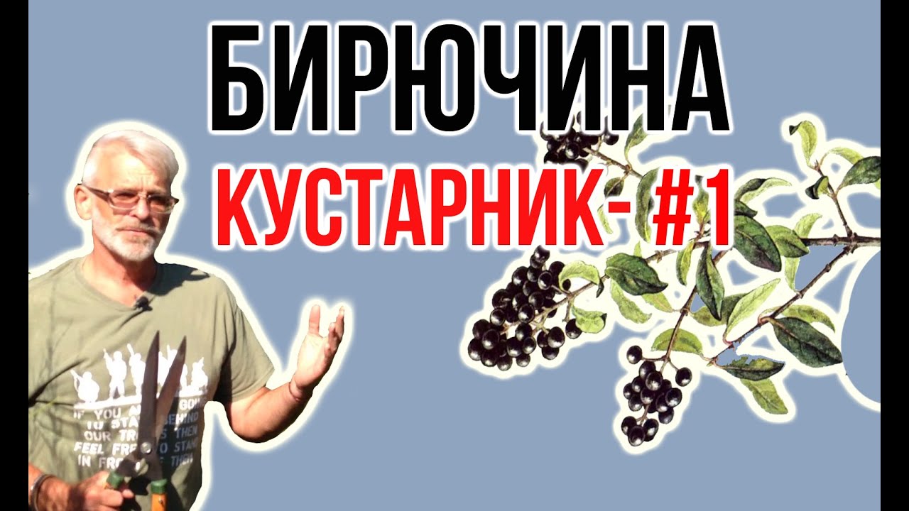 Нажмите, чтобы запустить видео