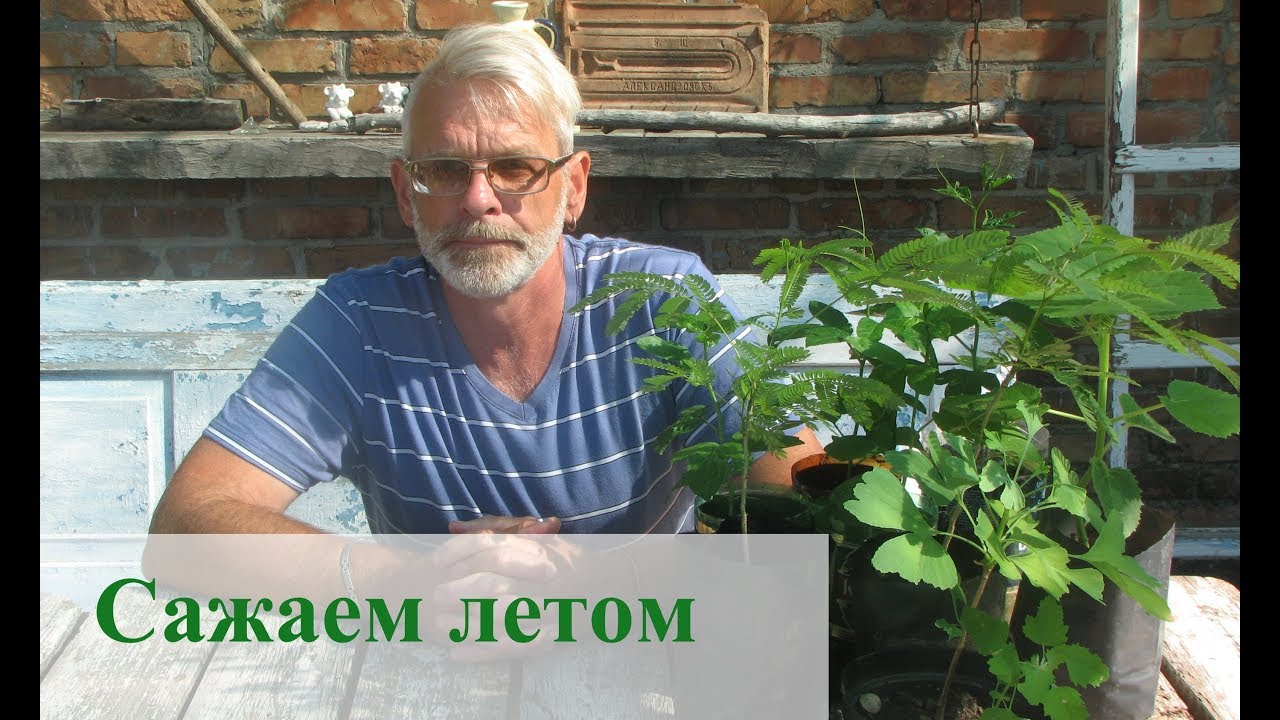 Нажмите, чтобы запустить видео