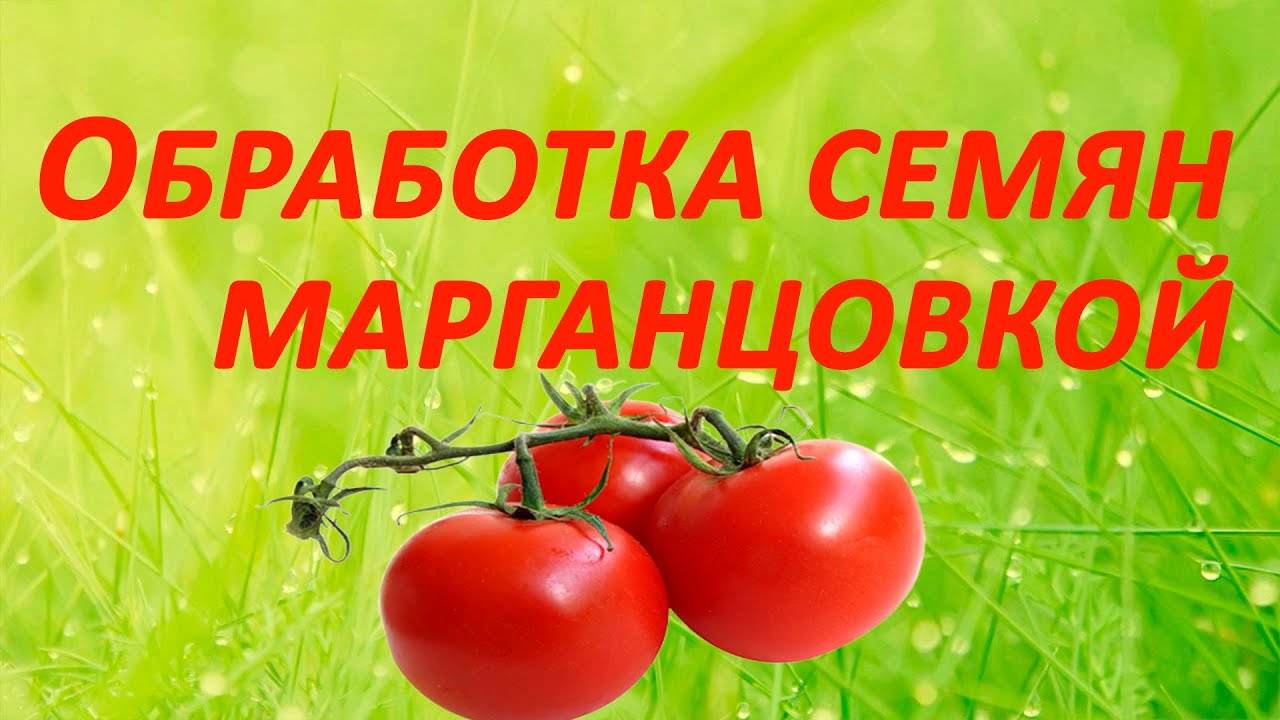 Нажмите, чтобы запустить видео