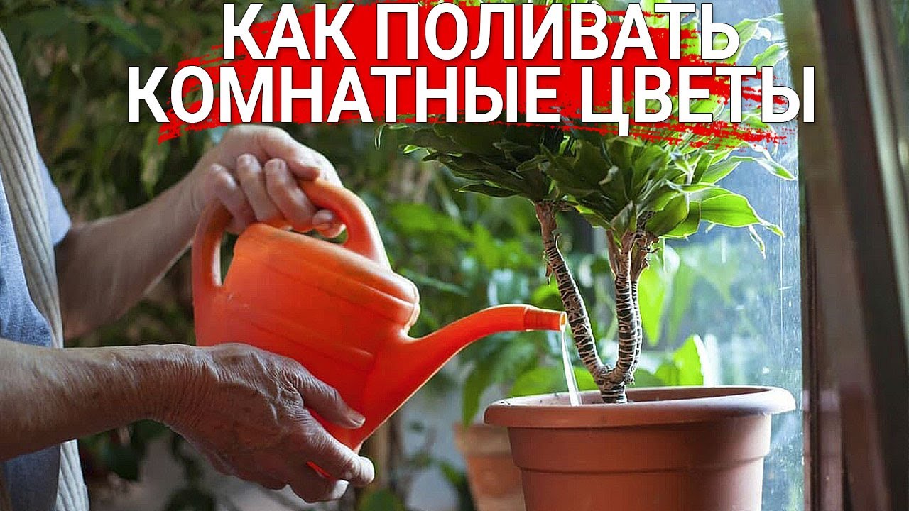 Нажмите, чтобы запустить видео