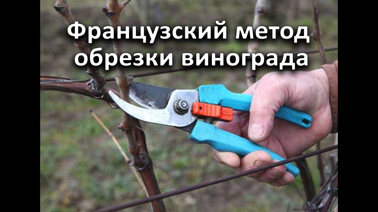 Нажмите, чтобы запустить видео