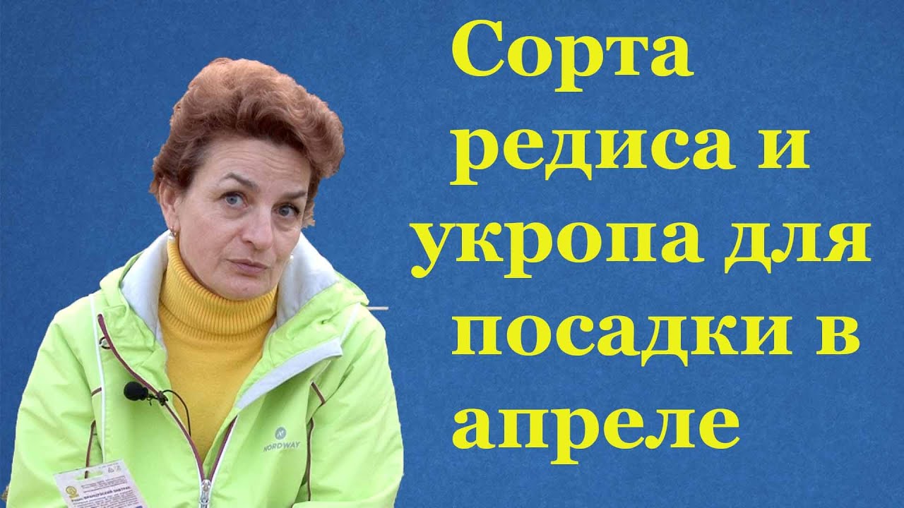 Нажмите, чтобы запустить видео