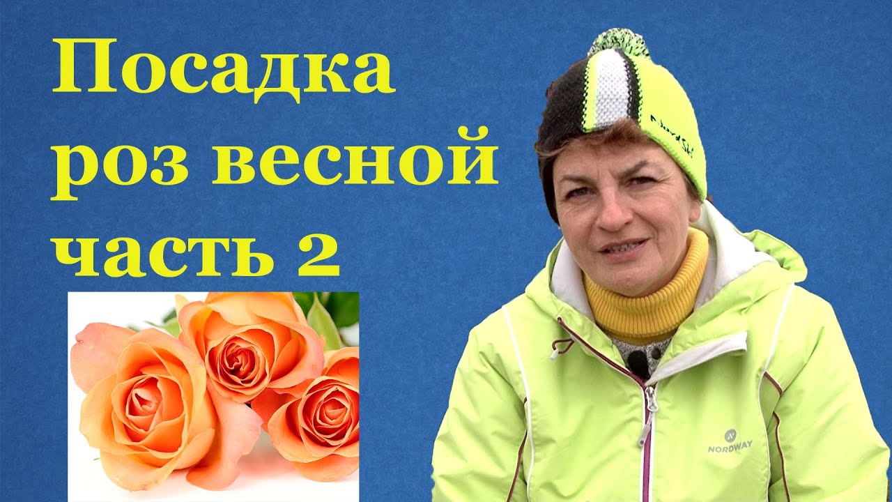 Нажмите, чтобы запустить видео