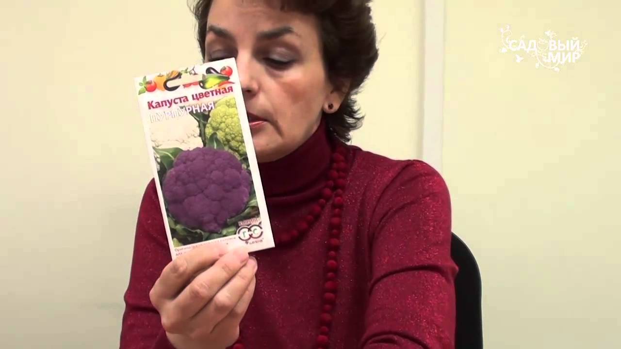 Нажмите, чтобы запустить видео