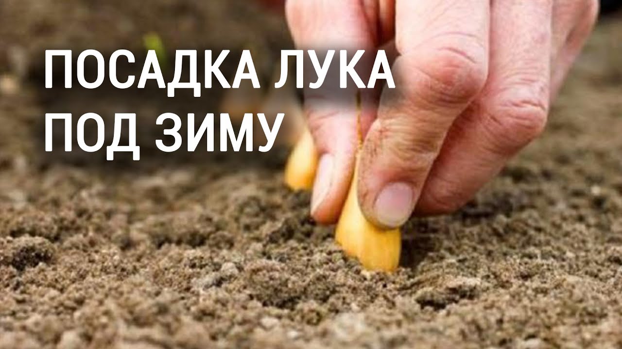 Нажмите, чтобы запустить видео