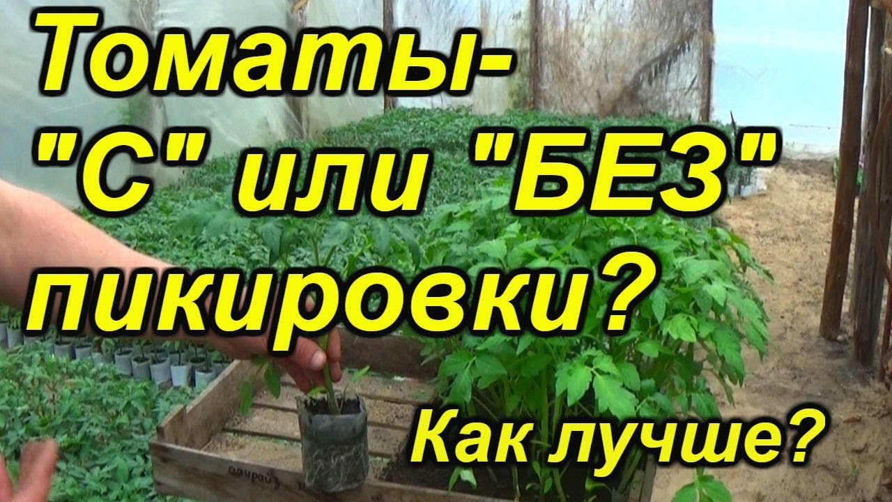 Нажмите, чтобы запустить видео