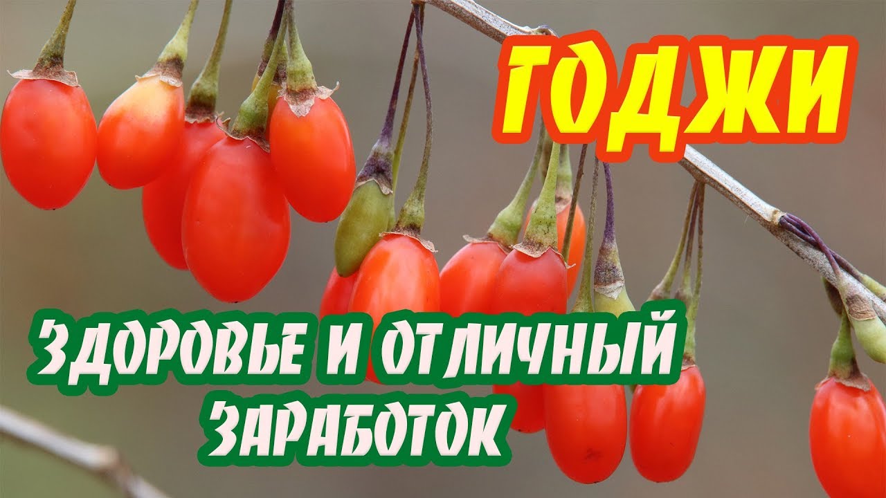 Нажмите, чтобы запустить видео