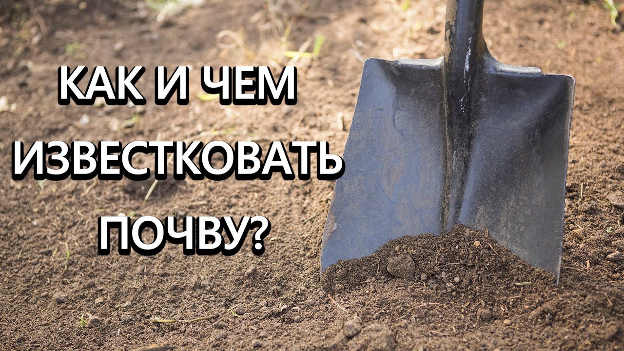 Нажмите, чтобы запустить видео