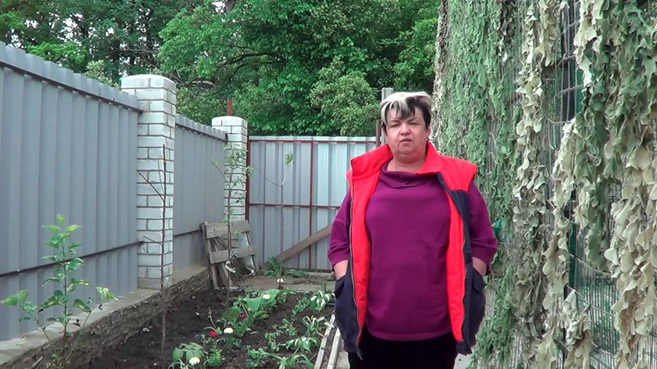 Нажмите, чтобы запустить видео