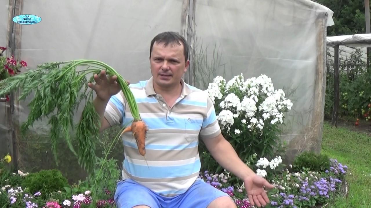 Нажмите, чтобы запустить видео