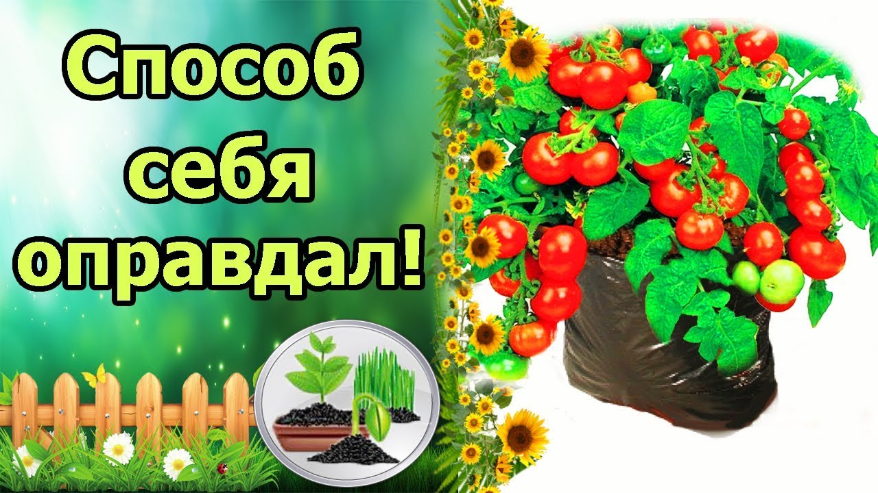 Нажмите, чтобы запустить видео
