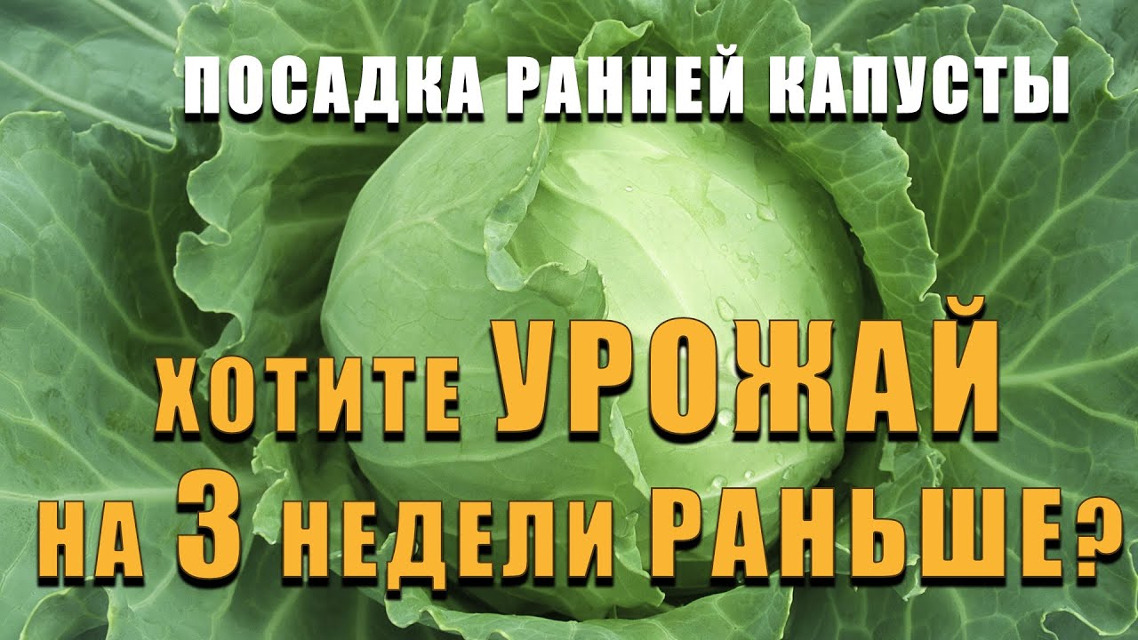 Нажмите, чтобы запустить видео