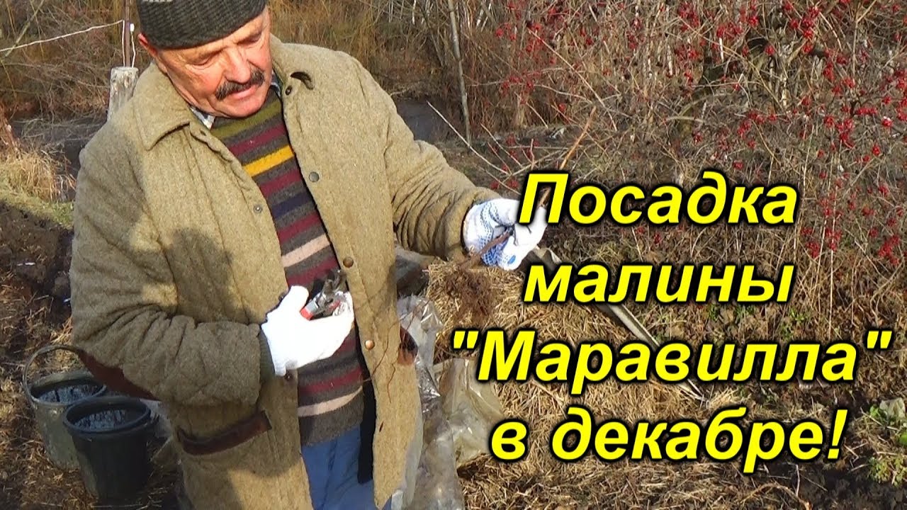 Нажмите, чтобы запустить видео