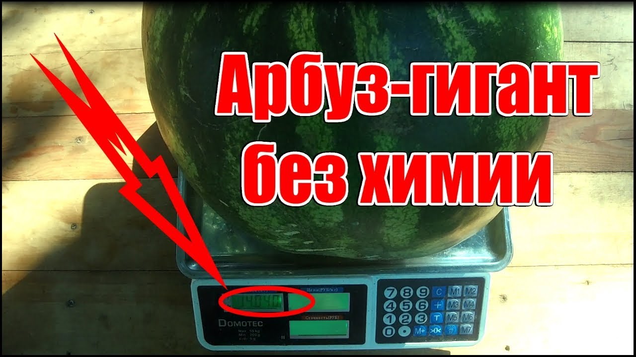 Нажмите, чтобы запустить видео