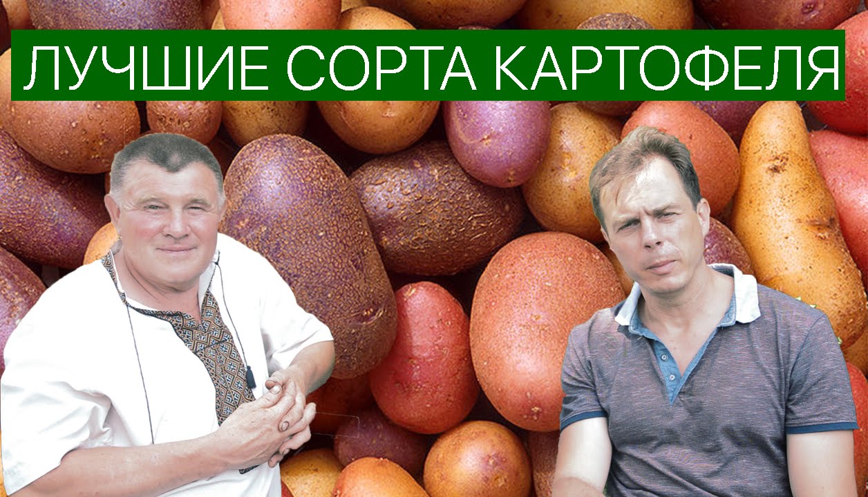 Нажмите, чтобы запустить видео